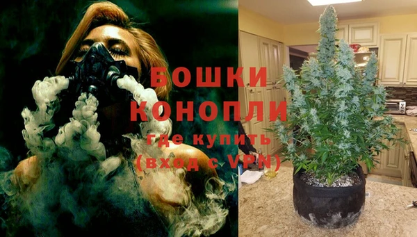 шишки Богданович
