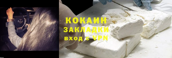 шишки Богданович
