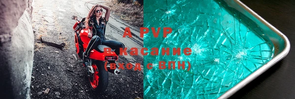 ПСИЛОЦИБИНОВЫЕ ГРИБЫ Снежногорск