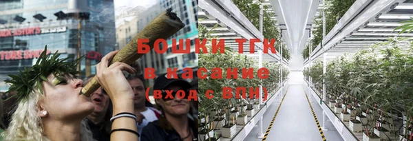 таблы Богородск