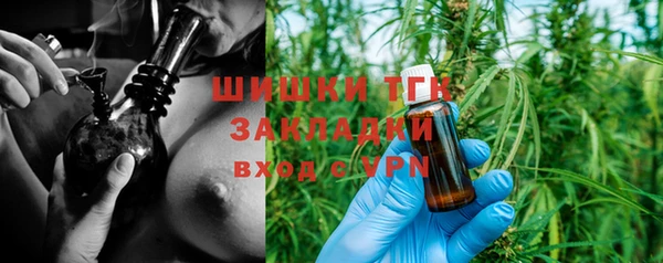 шишки Богданович