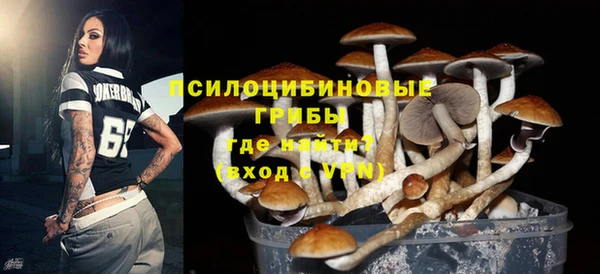 крисы Белоозёрский