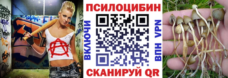 kraken tor  Белозерск  Галлюциногенные грибы Magic Shrooms 